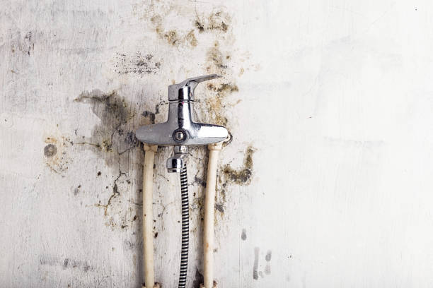 Best Mold Remediation  in Los Banos, CA