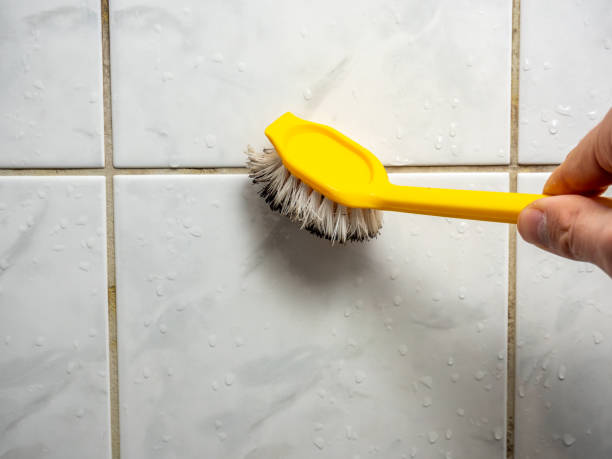 Best Mold Damage Repair  in Los Banos, CA