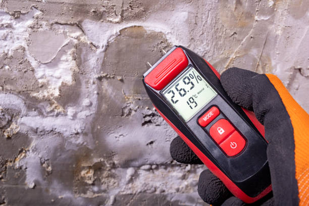 Best Attic Mold Removal  in Los Banos, CA