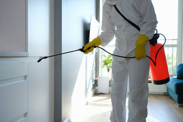 Best Commercial Mold Removal  in Los Banos, CA